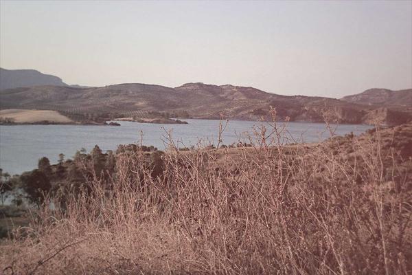국제 크로스보더 통관 화물 컨테이너 터미널